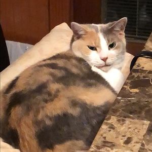 Meet your Posher, William